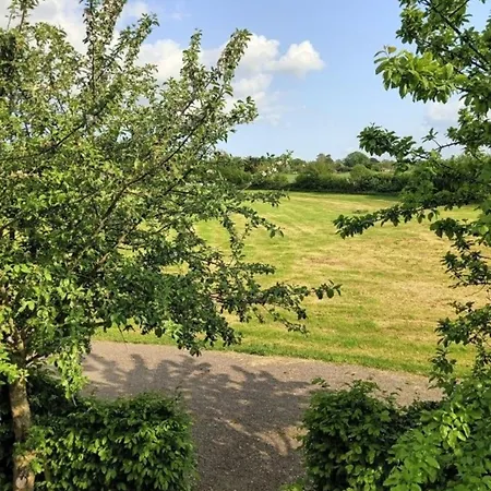 Wiesenblick